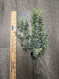 26 Inch Soft Green Eucalyptus Stem WEDDING FLORAL BOUQUET Ranunculus