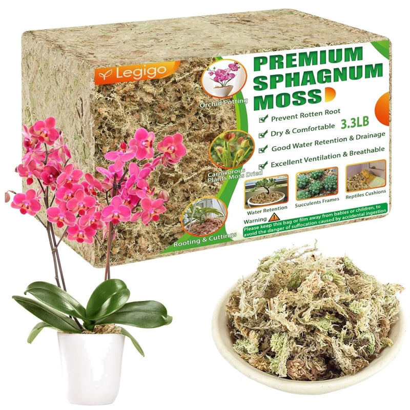 Natural dried sphagnum moss for orchid rooting, shown in a bowl