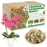 Orchid Moss for Gardening - 60QT Natural Sphagnum Moss Dried Orchids