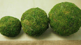 Large - XXL Pure Green Moss Balls Dried Organic Rattan Wedding Garden Home Decor Green Plant