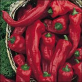 25 + seeds Georgia Flame  hot pepper garden planting spicy food Garden Plants