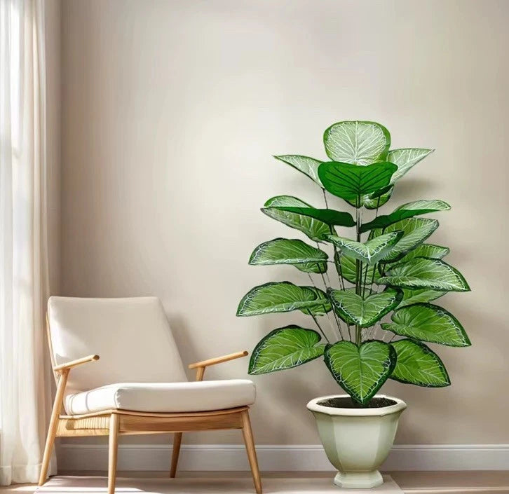 2 Large Kiwi Green Tree 48 Leaves For Indoor Outdoor Home Office Decor No Basin Green Plant