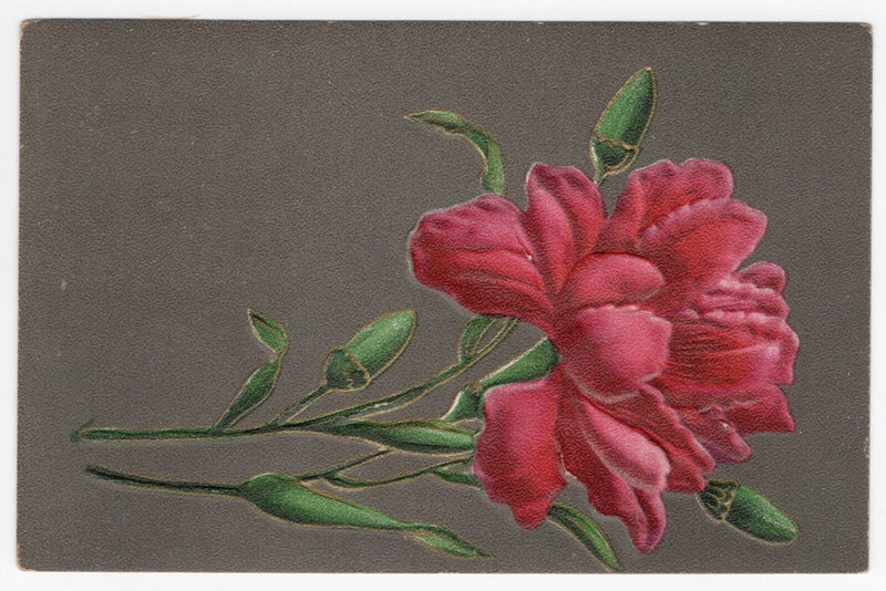 Vintage postcard with red carnation flower and green leaves on a dark background