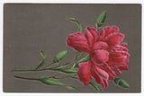 1910 Pretty Red Carnation Postcard With Dark Background Carnation