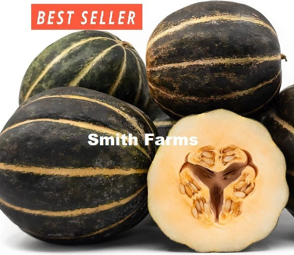 10+ Seeds Black Blewah Melon Cantaloupe Easy Vegetable Garden Planting Edible Garden Plants