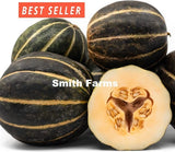 10+ Seeds Black Blewah Melon Cantaloupe Easy Vegetable Garden Planting Edible Garden Plants
