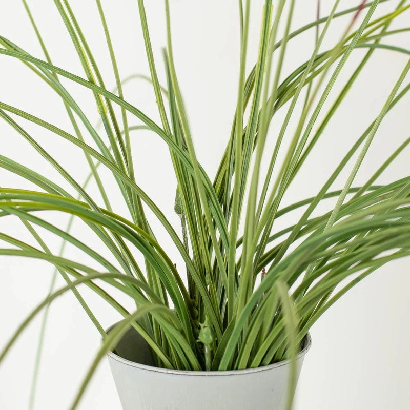 Green vinyl artificial grass spray with long blades in a white planter