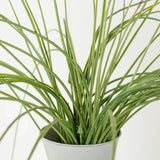 Pack of 3 Vinyl Artificial Indoor/Outdoor 29" Grass Sprays Green Plant