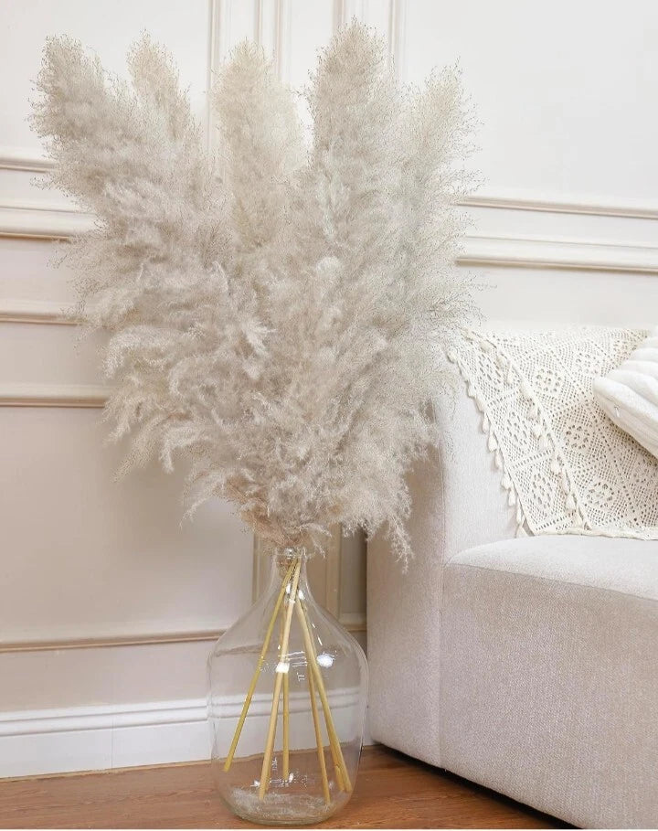 5 Piece Brown Grey Natural Fluffy Pampas Grass;  Home Decor  Modern Boho 46 Inch Pampas Grass
