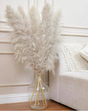 5 Piece Brown Grey Natural Fluffy Pampas Grass;  Home Decor  Modern Boho 46 Inch Pampas Grass