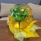 FOREVER ROSE WATER GLOBEFOREVER Green Rose Green Plant