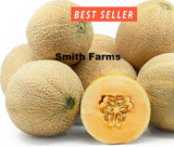 10+ Seeds Baby French Melon Cantaloupe Easy Vegetable Garden Planting Edible Garden Plants
