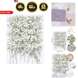 Dried Baby's Breath Flowers for Crafts Wedding Invitations Jewelry Decoration Dried Flower