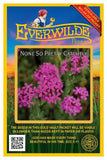 2000 None So Pretty Catchfly Wildflower Seeds - Everwilde Farms Mylar Packet Garden Plants