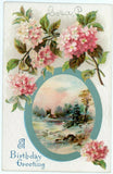 Birthday Greeting Hydrangea Vintage Postcard Hydrangea