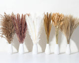 135Pcs Dried Pampas Grass Decor Boho Home Decor Mini Bunny Tails Dried Flower... Pampas Grass