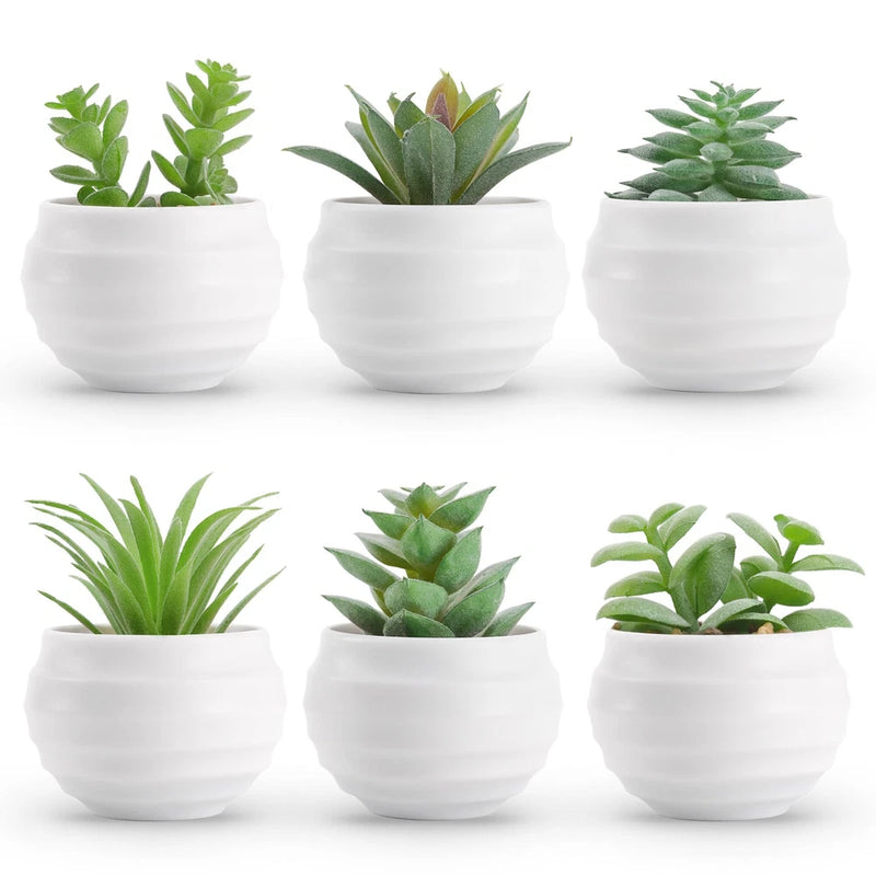 Set of 6 small artificial succulents in white ceramic-style pots