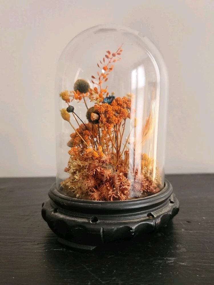 Dried orange flowers under clear glass dome on dark round wood base
