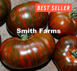 50+ Seeds CHOCOLATE STRIPES Tomato Hybrid Juicy Easy to Grow Vegetable Garden Garden Plants
