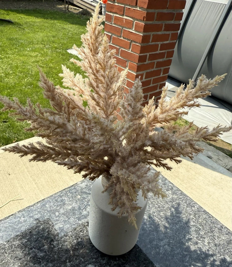 Pampas Grass Arrangement in White Vase Pampas Grass