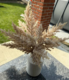 Pampas Grass Arrangement in White Vase Pampas Grass