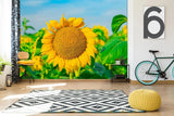 3D Sunflower Flower G6635 Wallpaper Wall Murals Removable Self-adhesive Honey Sunflower