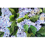 Carolines Treasures 8730PILLOWCASE Hydrangea Moisture Wicking Fabric Standard... Hydrangea