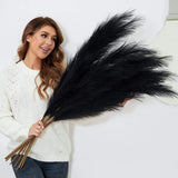 Faux Black Pampas Grass w/8 Large Artificial Pampas Grass Stems Ñ 38" Set of 8 Pampas Grass