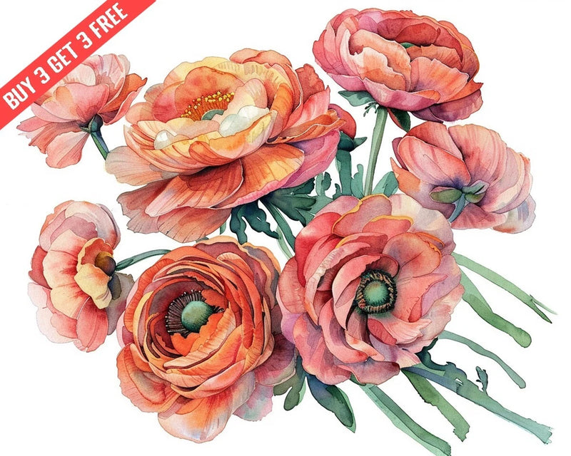 Ranunculus in a bouquet Watercolor 8x10 Print Ranunculus
