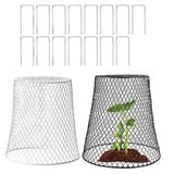 3 Plant Wire Protection Covers Garden Essential for Safeguarding Your Crops Garden Plants