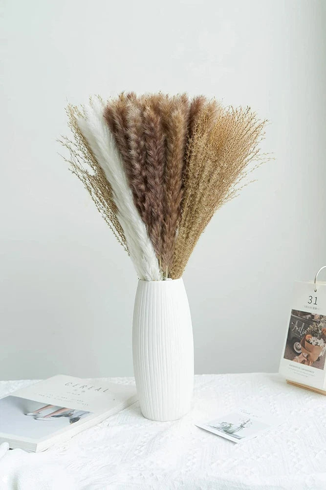 63 Pcs Dried 18" Pampas Grass Home Decor, White & Browm Natural Boho Reed Flower Pampas Grass