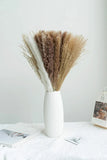 63 Pcs Dried 18" Pampas Grass Home Decor, White & Browm Natural Boho Reed Flower Pampas Grass