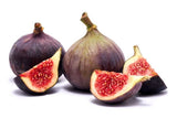 100+ Texas Blue Giant Fig Seeds for Garden Planting - USA - FREE SHIPPING! Garden Plants