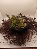 Artificial Succulent 9" Black High Gloss Ceramic Dish & 14" Twig Surface Wreath Green Plant