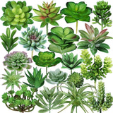 20 Pcs Assorted Artificial Succulents Plants Unpotted Small Green Cactus Eche... Green Plant