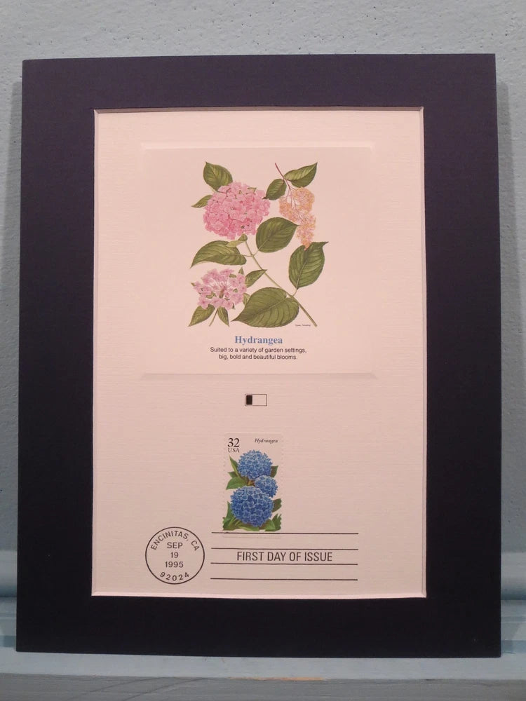 Honoring Flowers - The First Day Cover of the Hydrangea Flower Stamp Hydrangea