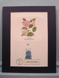Honoring Flowers - The First Day Cover of the Hydrangea Flower Stamp Hydrangea