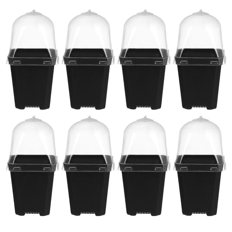 Set of small black succulent nursery pots with white translucent dome lids, 8 shown