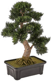 Nearly Natural 4103 24in. Cedar Bonsai Silk Plant,Green Green Plant