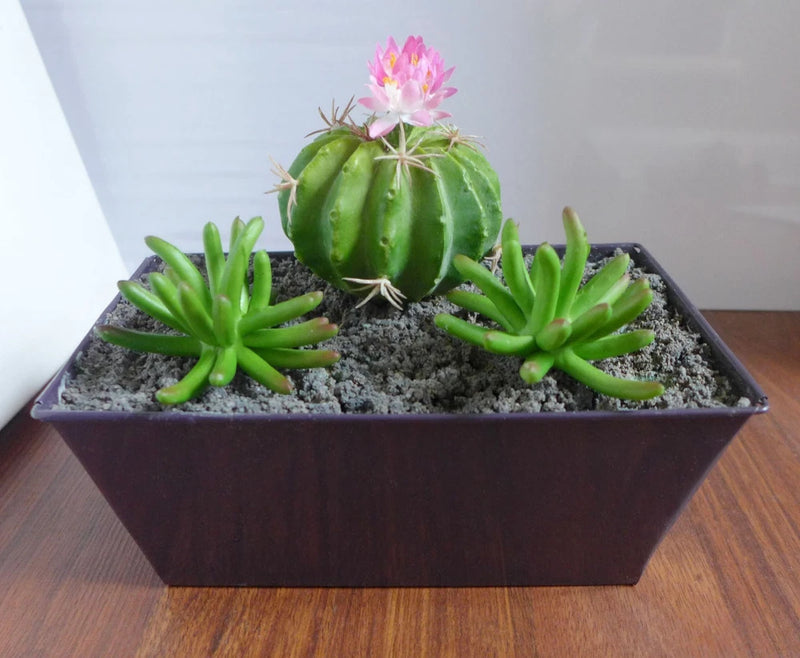 Set of 3 Artificial Blooming Cactus Ball Succulents Mini Grass Green Plant