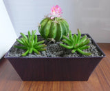 Set of 3 Artificial Blooming Cactus Ball Succulents Mini Grass Green Plant
