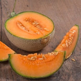 50 TOP MARK MELON SEEDS NON-GMO FRESH HARVEST FOR GARDENS US SELLER Garden Plants