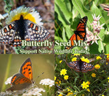 Butterfly Garden Seed Mix - Native California Wildflowers Garden Plants