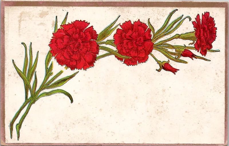 Red Carnation Flower Vintage Postcard Spc15 Carnation