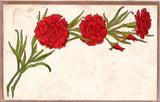 Red Carnation Flower Vintage Postcard Spc15 Carnation