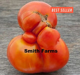 50+ Seeds Ugly Tennessee Tomato Easy to Grow Vegetable Garden Planting Garden Plants