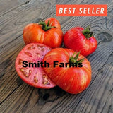 50+ Seeds Beauty King Tomato Planting Juicy Easy to Grow Vegetable Garden Garden Plants