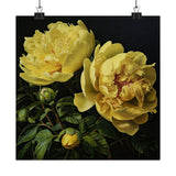 Yellow Peonies Flower Art Print, Yellow Flower Painting. Flower DŽcor 09 Peony