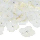 60-Pack Dried Pressed Flowers for Resin, Real Natural Bulk Dry Floral [White] Dried Flower