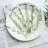 12PCS Real Pressed Dry grass Flower, floral supply leaves for art craft FSS61 Dried Flower